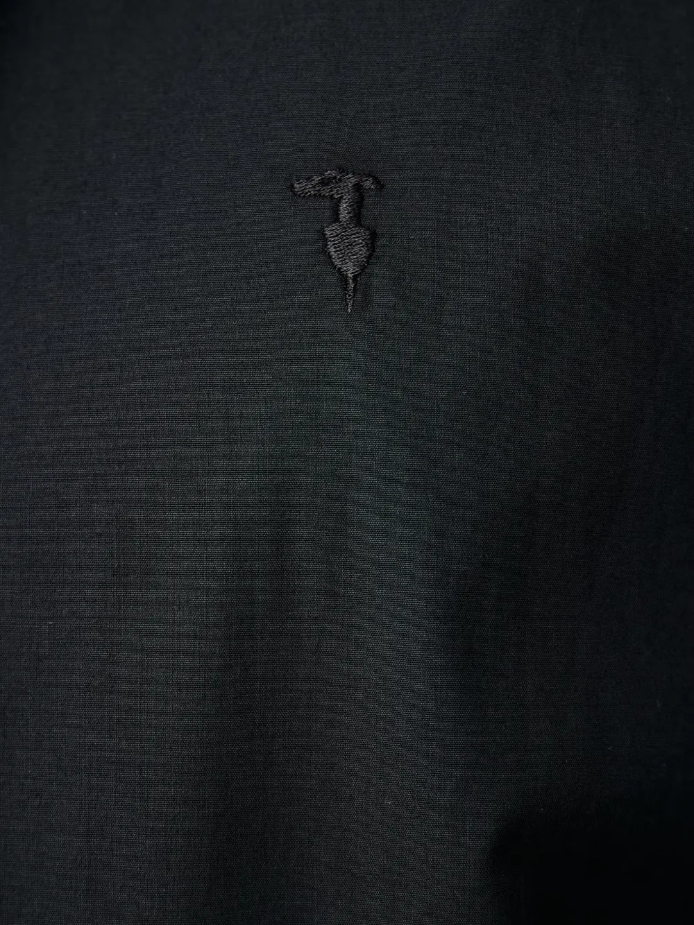 Trussardi logo-embroidered slim-fit shirt Zwart