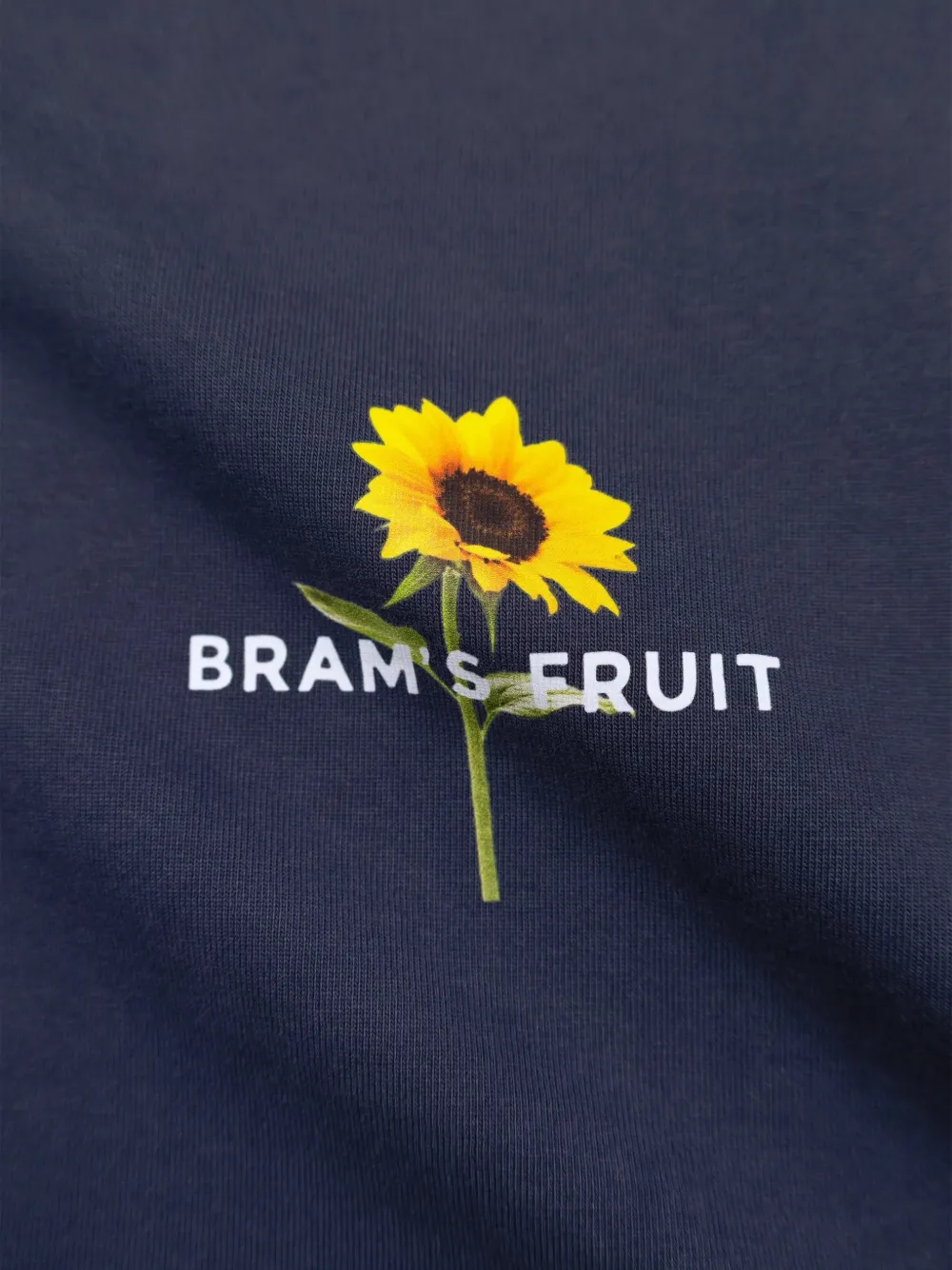 Bram s Fruit T-shirt met zonnebloemprint Blauw