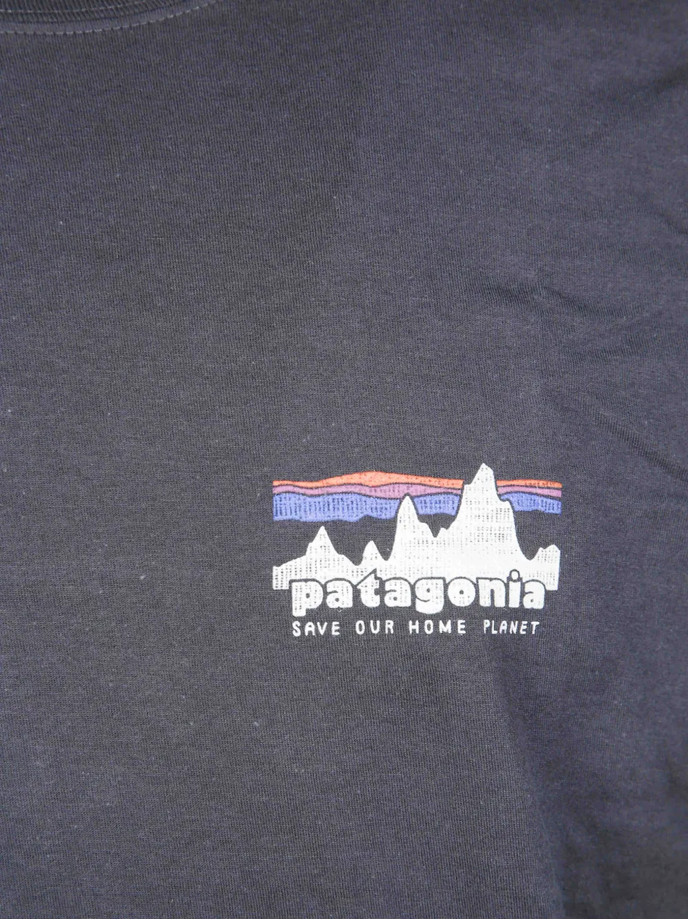 Patagonia '73 Skyline T-shirt Grijs