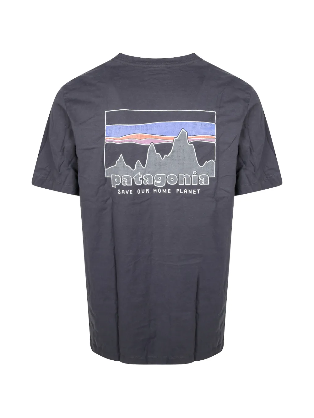Patagonia '73 Skyline T-shirt Grijs