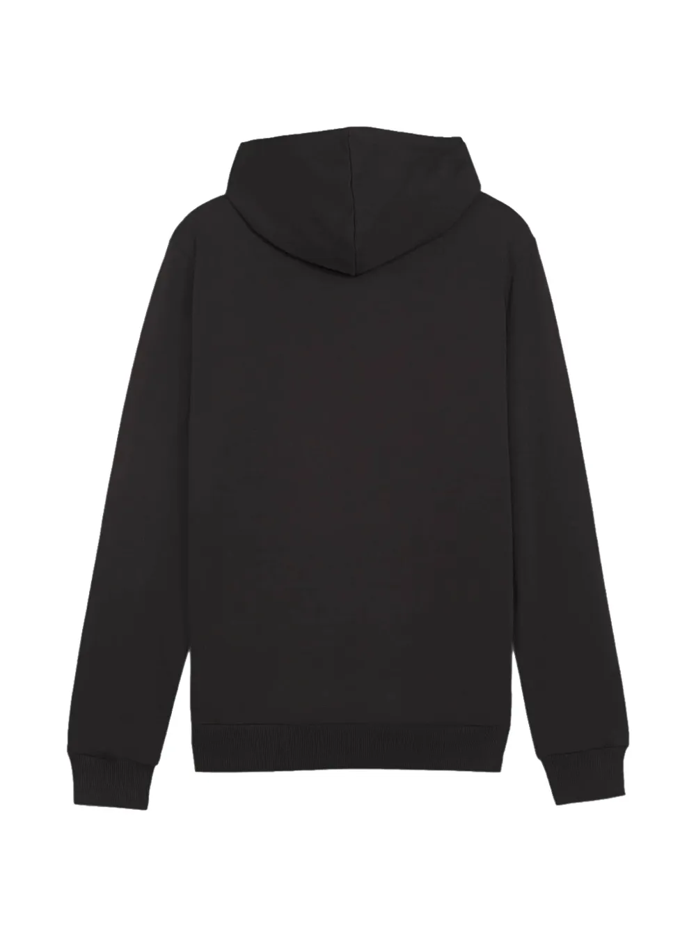 PUMA TeamGOAL hoodie Zwart