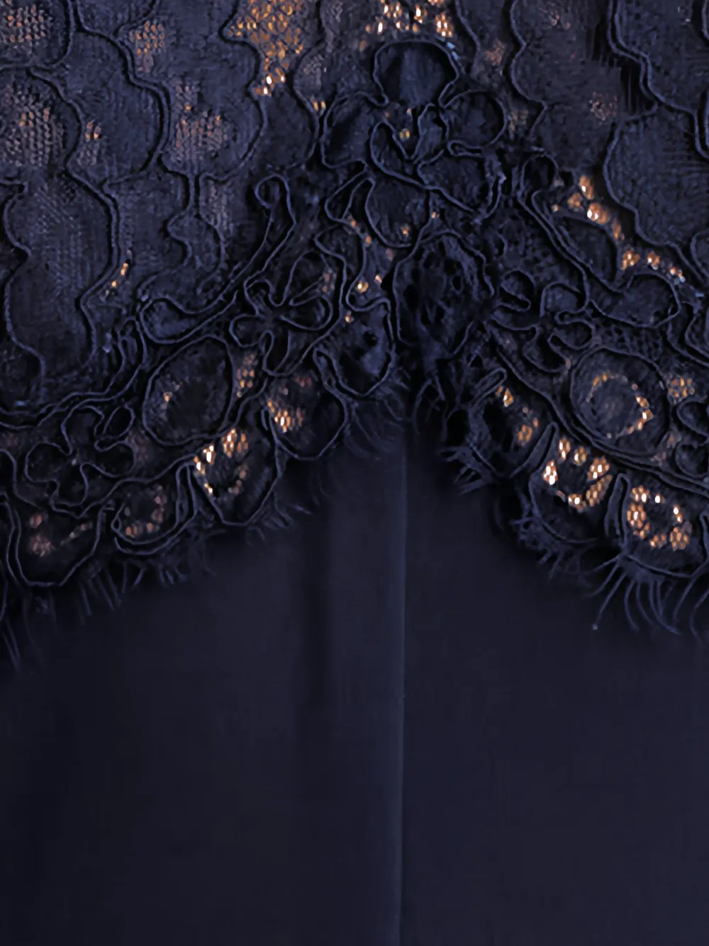 Tadashi Shoji Deacon lace-panelled jumpsuit Blauw