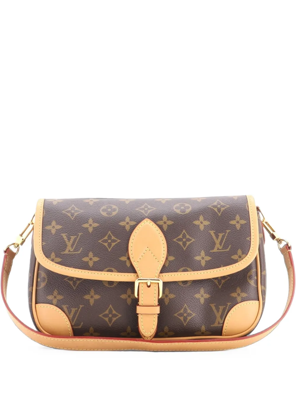 Louis Vuitton Pre-Owned Diane NM Handbag Monogram Canvas crossbody bag - Marrone