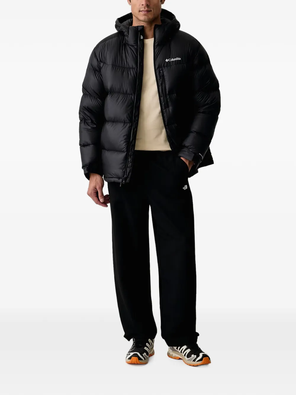 Columbia Cloudview donsjack met capuchon Zwart