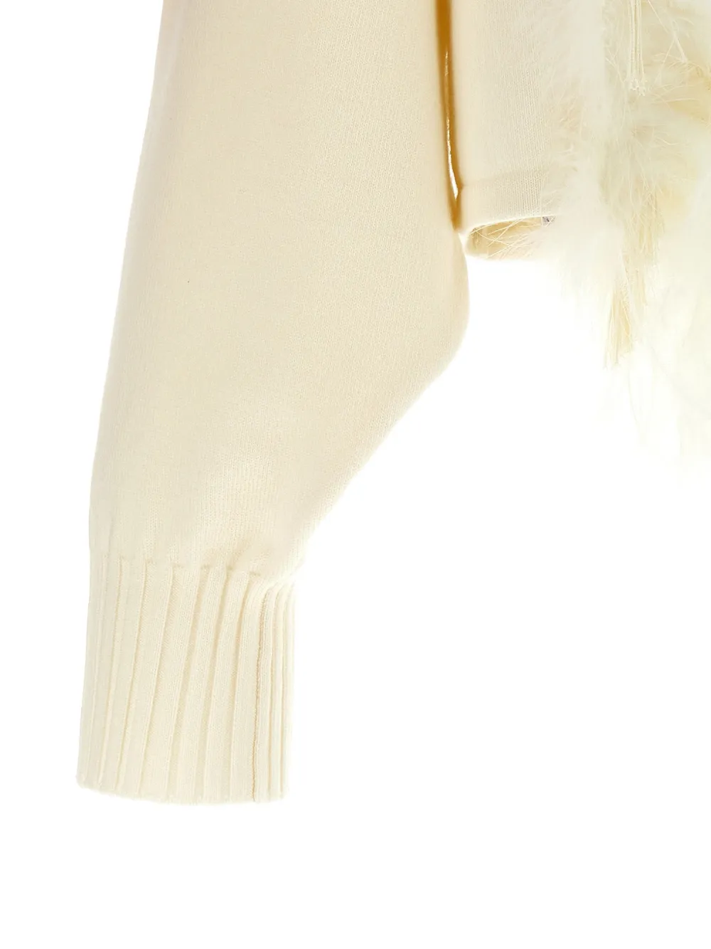 Alberta Ferretti Cropped trui verfraaid met veren Beige