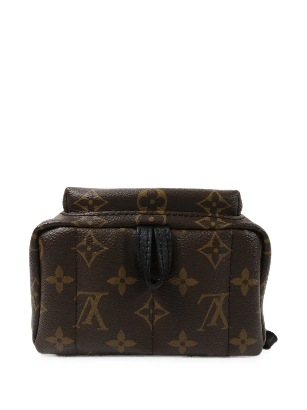 Louis Vuitton Pre-Owned Palm Springs Monogram mini-rugzak Bruin