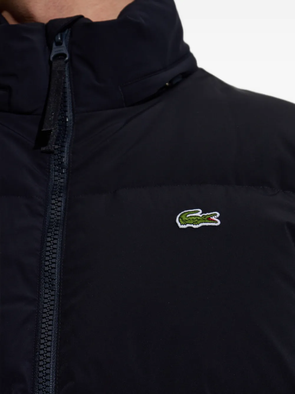 Lacoste Gewatteerd jack Blauw