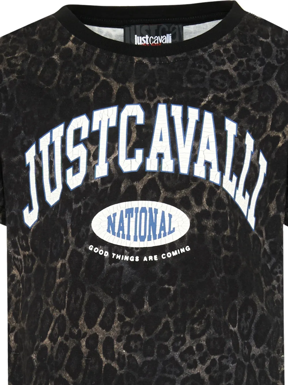 Just Cavalli Kids leopard-print logo-print T-shirt Zwart