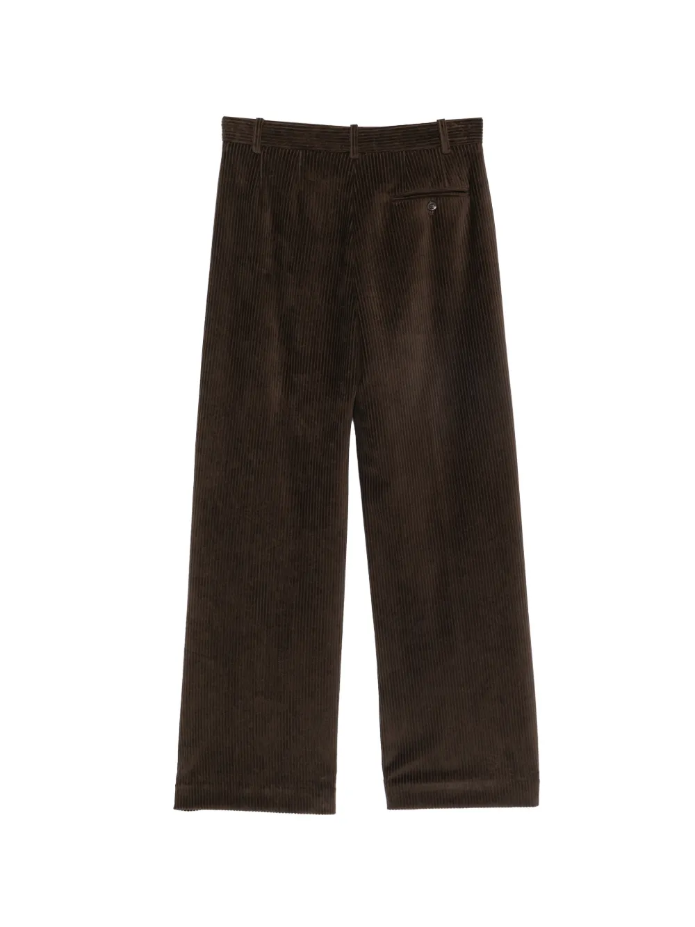 Circolo 1901 Ribfluwelen broek Bruin