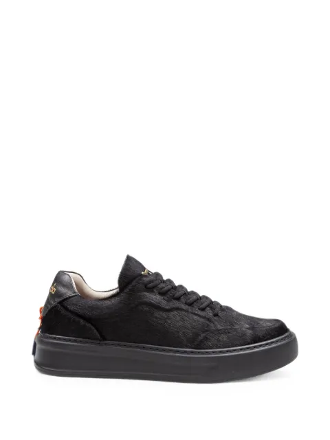 Barracuda tenis Phoenix