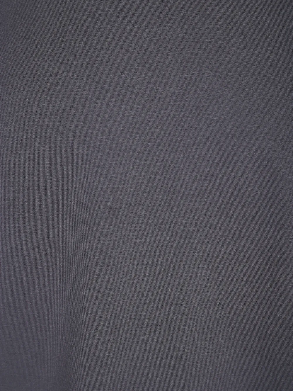 Daniele Fiesoli crew-neck T-shirt Grijs