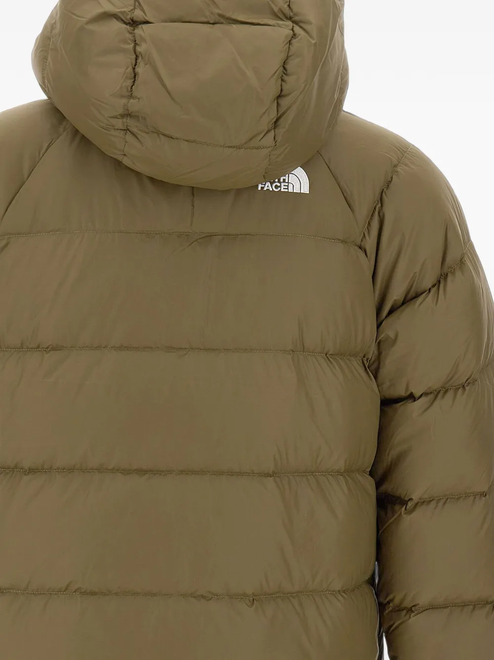 The North Face Hydrenalite jack met capuchon Bruin