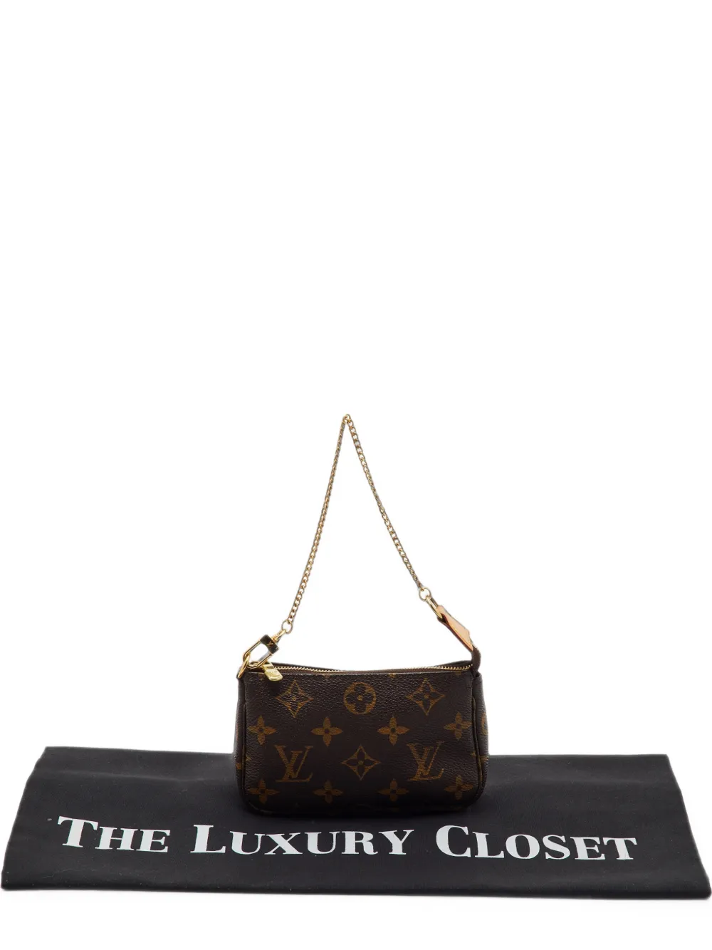 Louis Vuitton Pre-Owned 2009 mini Pochette Accessoires Monogram shoulder bag - Brown
