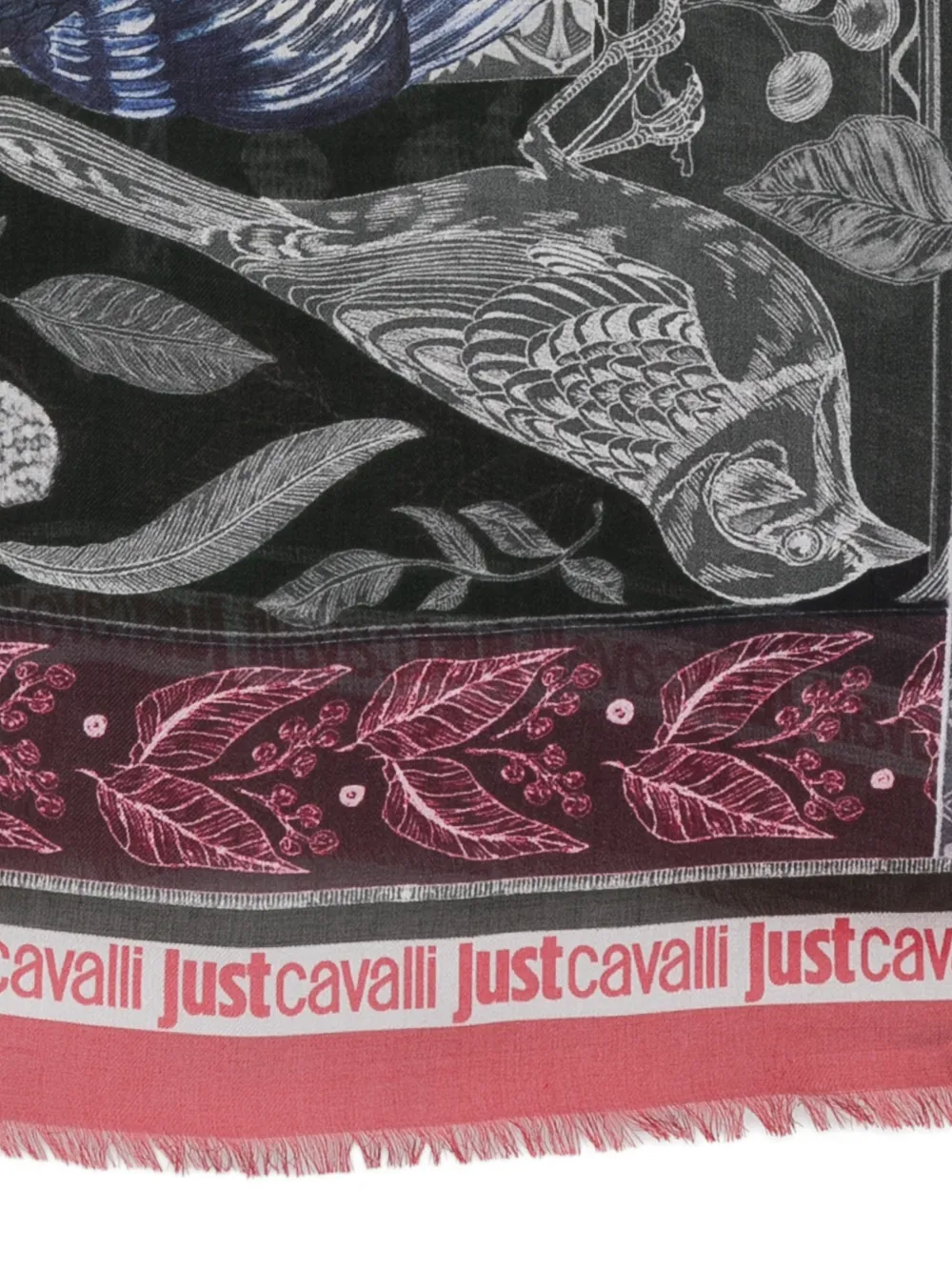 Just Cavalli bird-print frayed scarf Zwart