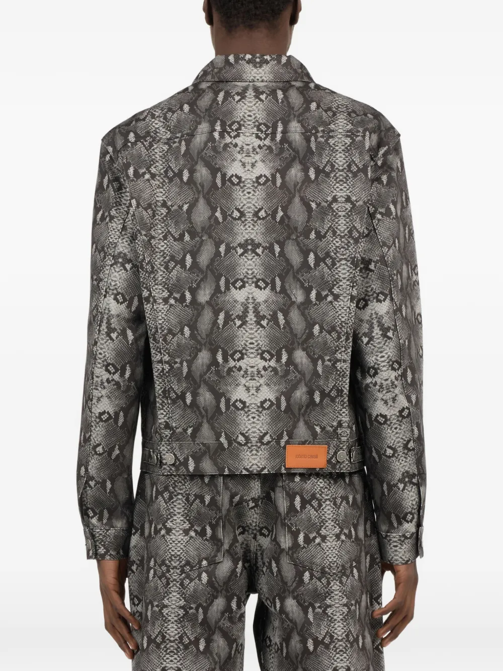 Roberto Cavalli Denim jack met slangen-print Grijs