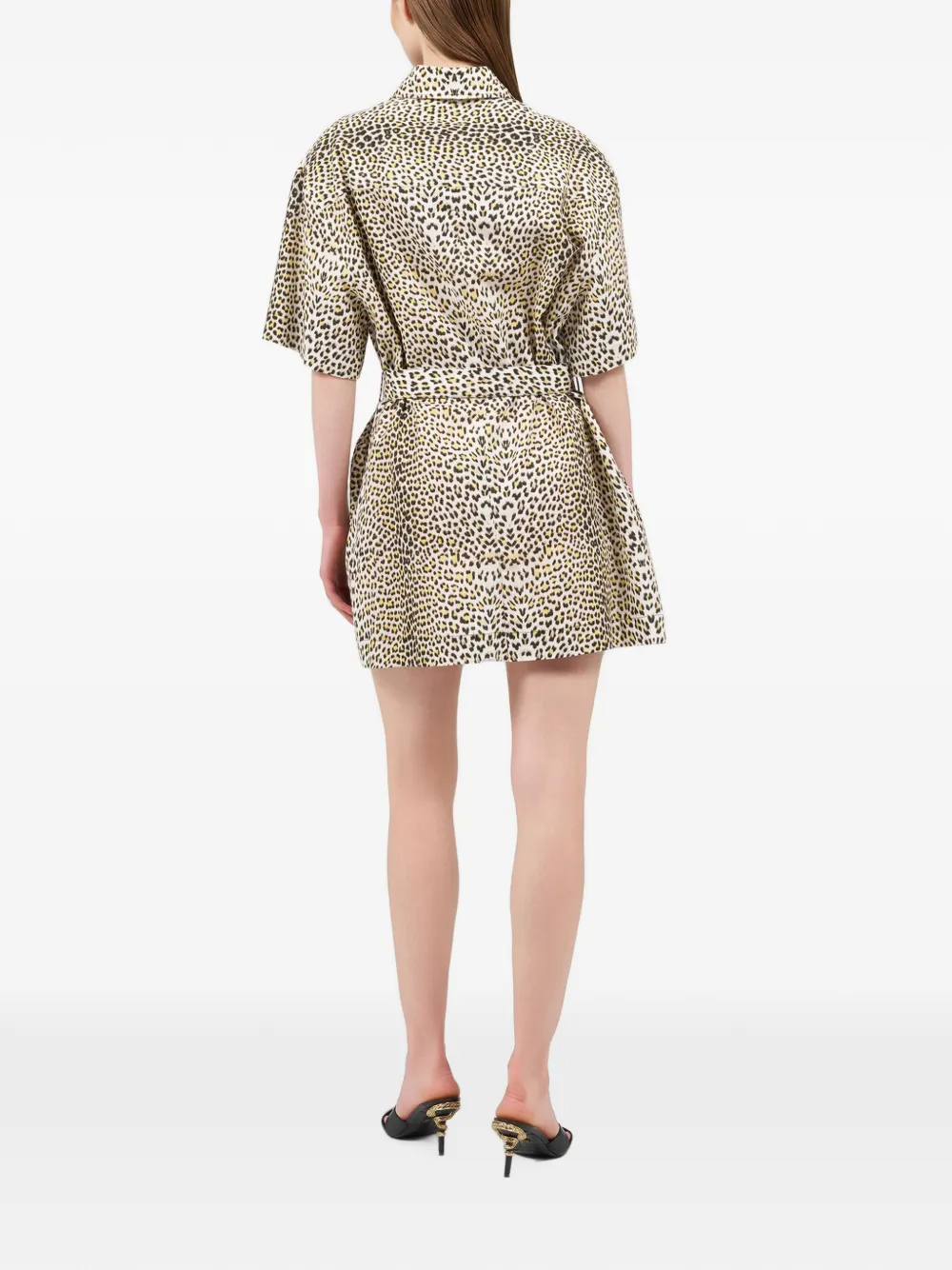 Roberto Cavalli Mini-jurk met luipaardprint Beige