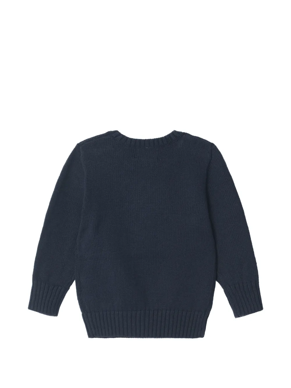 POLO RALPH LAUREN KIDS Katoenen trui Blauw