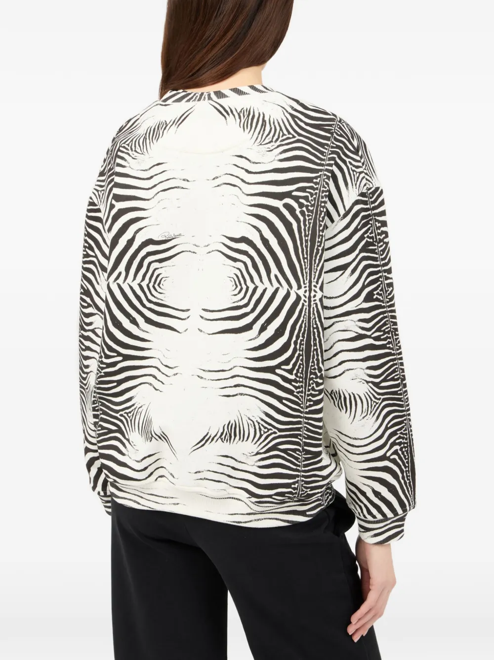 Roberto Cavalli Sweater met zebraprint Wit