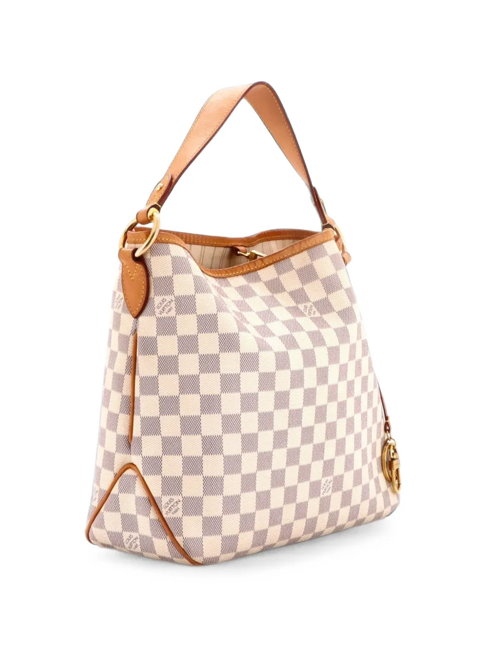 Louis Vuitton Pre-Owned Delightful NM Handbag Damier PM hobo bag - Bianco