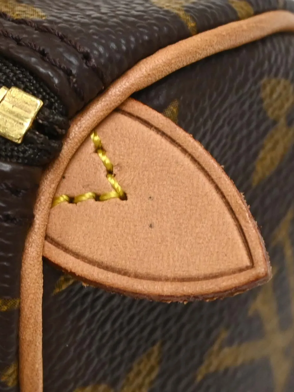Louis Vuitton Pre-Owned 2000 mini Speedy tote bag Bruin