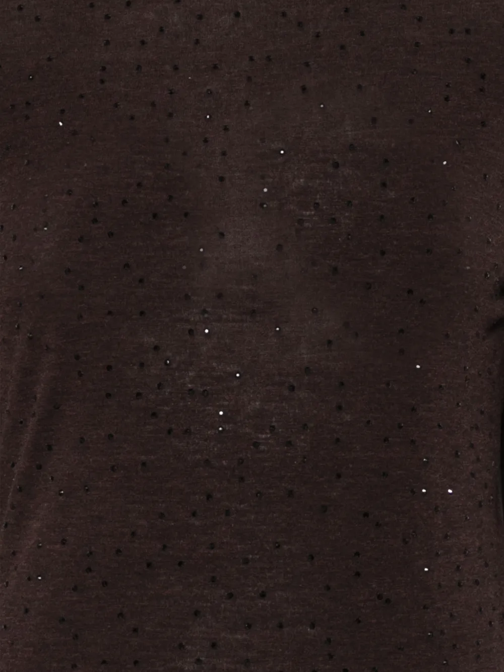 Alysi rhinestone-embellished long-sleeved T-shirt Bruin