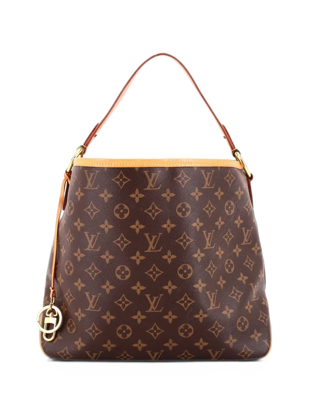 Louis Vuitton Pre-Owned Delightful NM Handbag Monogram Canvas PM hobo bag - Marrone