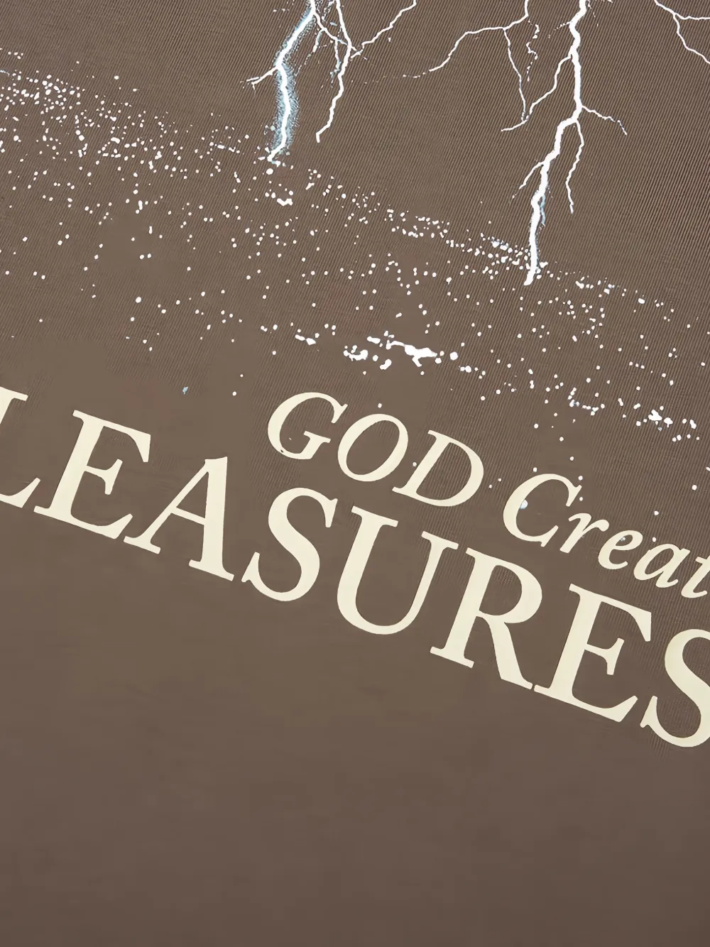 Pleasures Katoenen T-shirt met grafische print Bruin