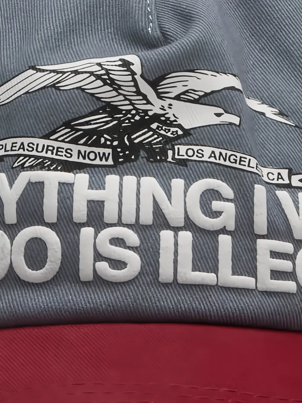 Pleasures Illegal snapback cap Grijs