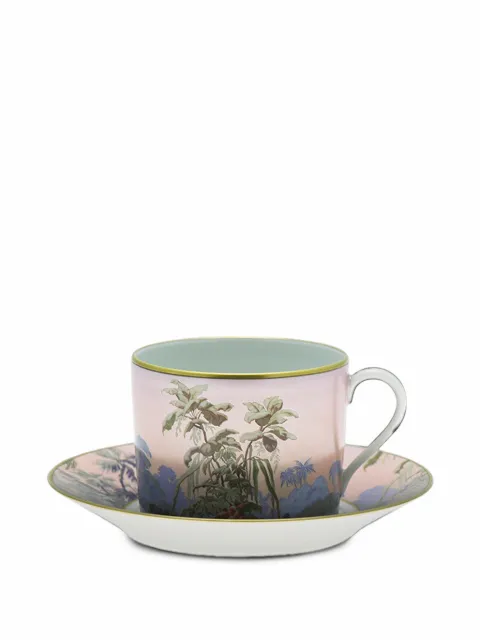 Haviland Le Brésil cup and saucer