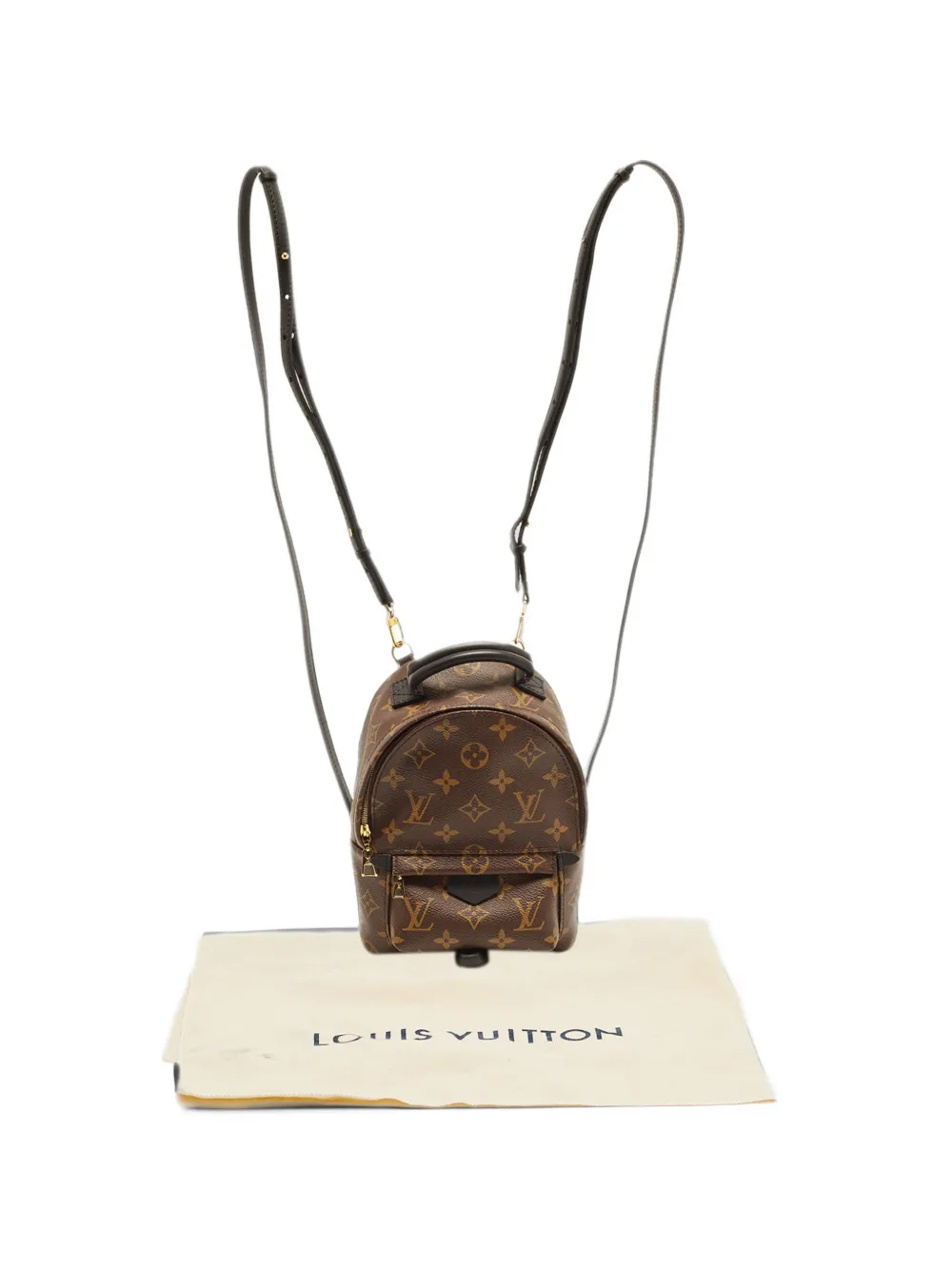 Louis Vuitton Pre-Owned Mini Palm Springs Rucksack mit Monogramm - Braun