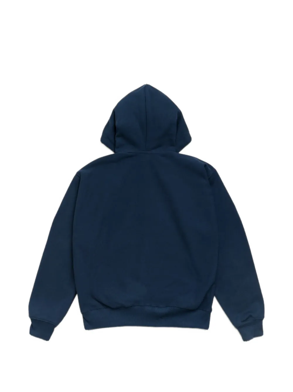 Stüssy Hoodie met slangen-print en rits Blauw