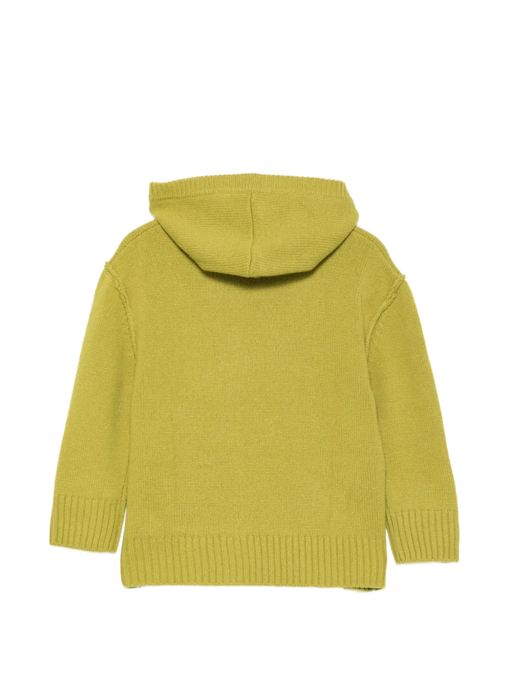Paolo Pecora Kids logo-embroidered knitted hoodie Groen