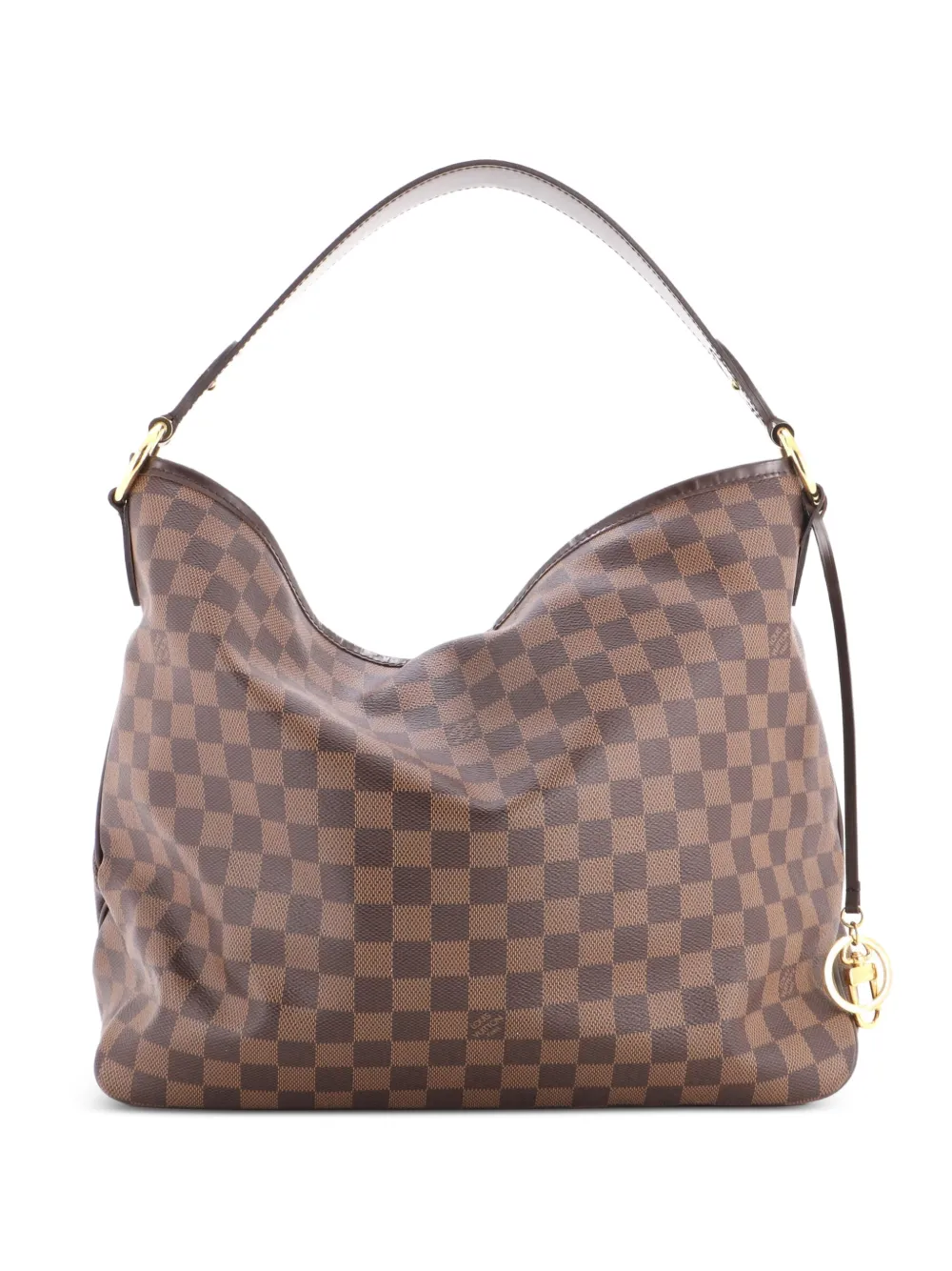 Louis Vuitton Pre-Owned Delightful NM Handbag Damier MM hobo bag - Brown