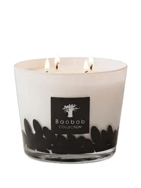 Baobab Collection Classique Feathers glass candle