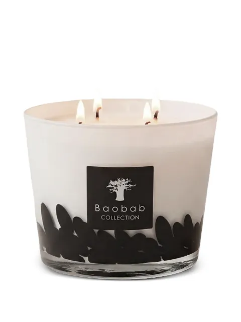 Baobab Collection Classique Feathers glass candle
