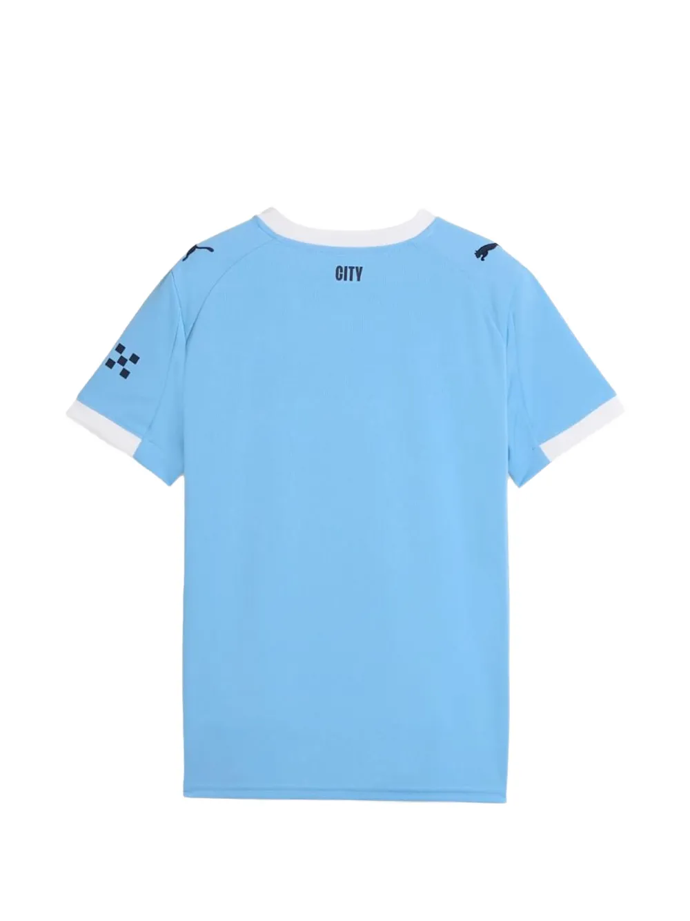 Puma Kids Manchester City FC Replica T-shirt Blauw