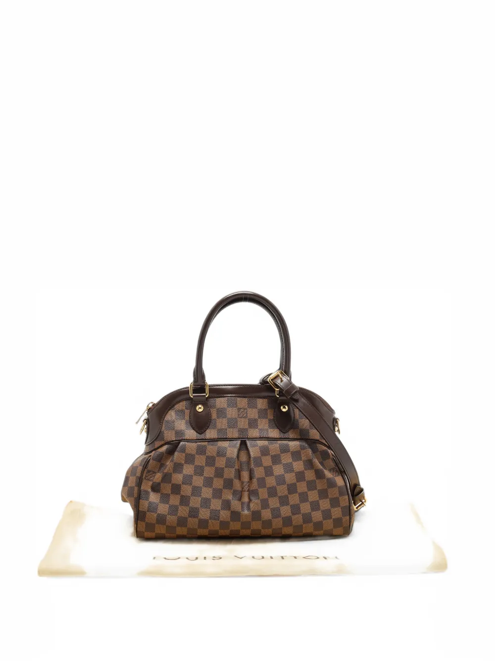 Louis Vuitton Pre-Owned 2010 PM Trevi Damier Ebene canvas tote bag - Brown