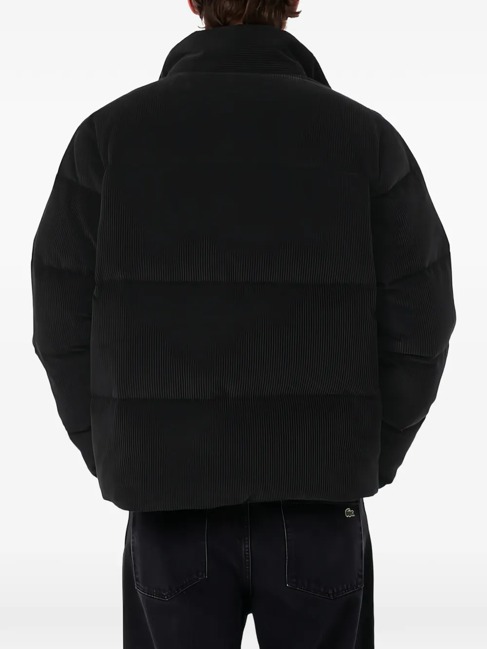 Lacoste corduroy down jacket Zwart