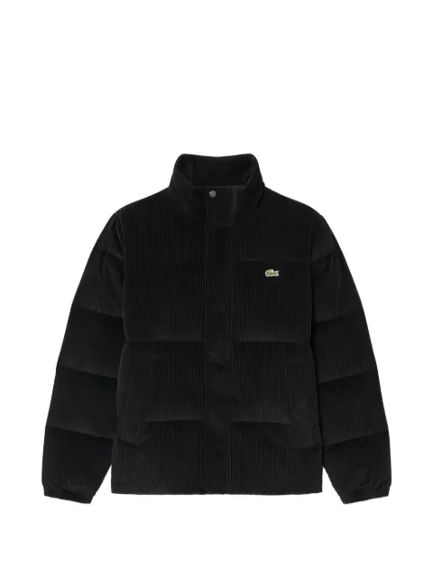 Lacoste corduroy down jacket