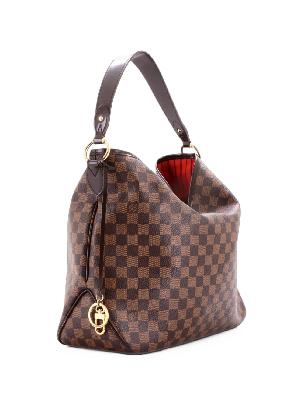 Louis Vuitton Pre-Owned Delightful NM Handbag Damier MM hobo bag - Marrone