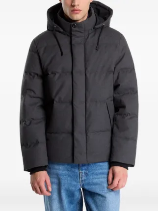 Gant