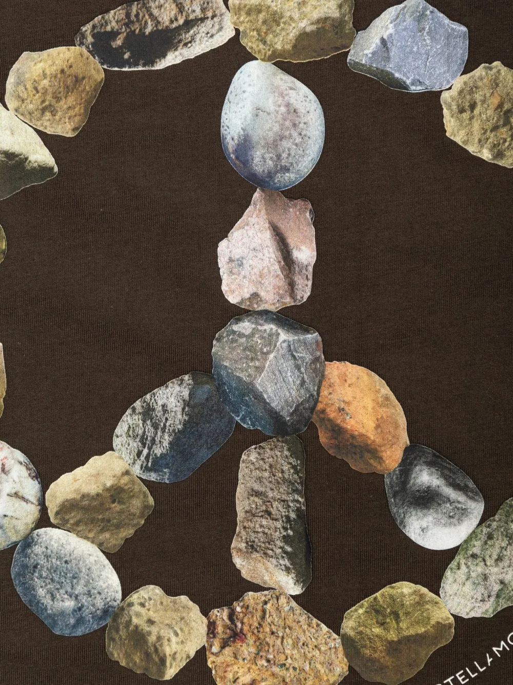 Stella McCartney Kids T-shirt met grafische print Bruin