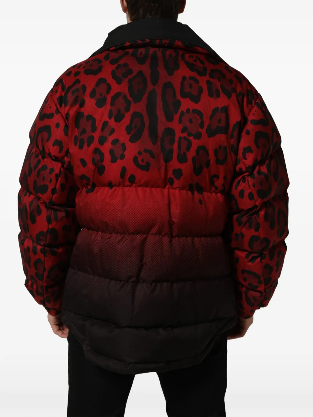 Dolce & Gabbana reversible leopard-print puffer jacket Rood