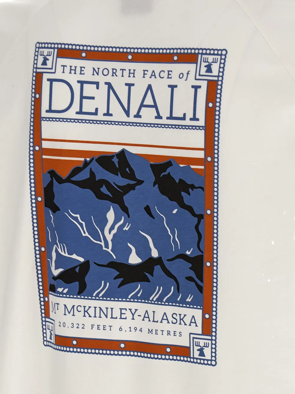 The North Face T-shirt met grafische print en raglan mouwen Beige