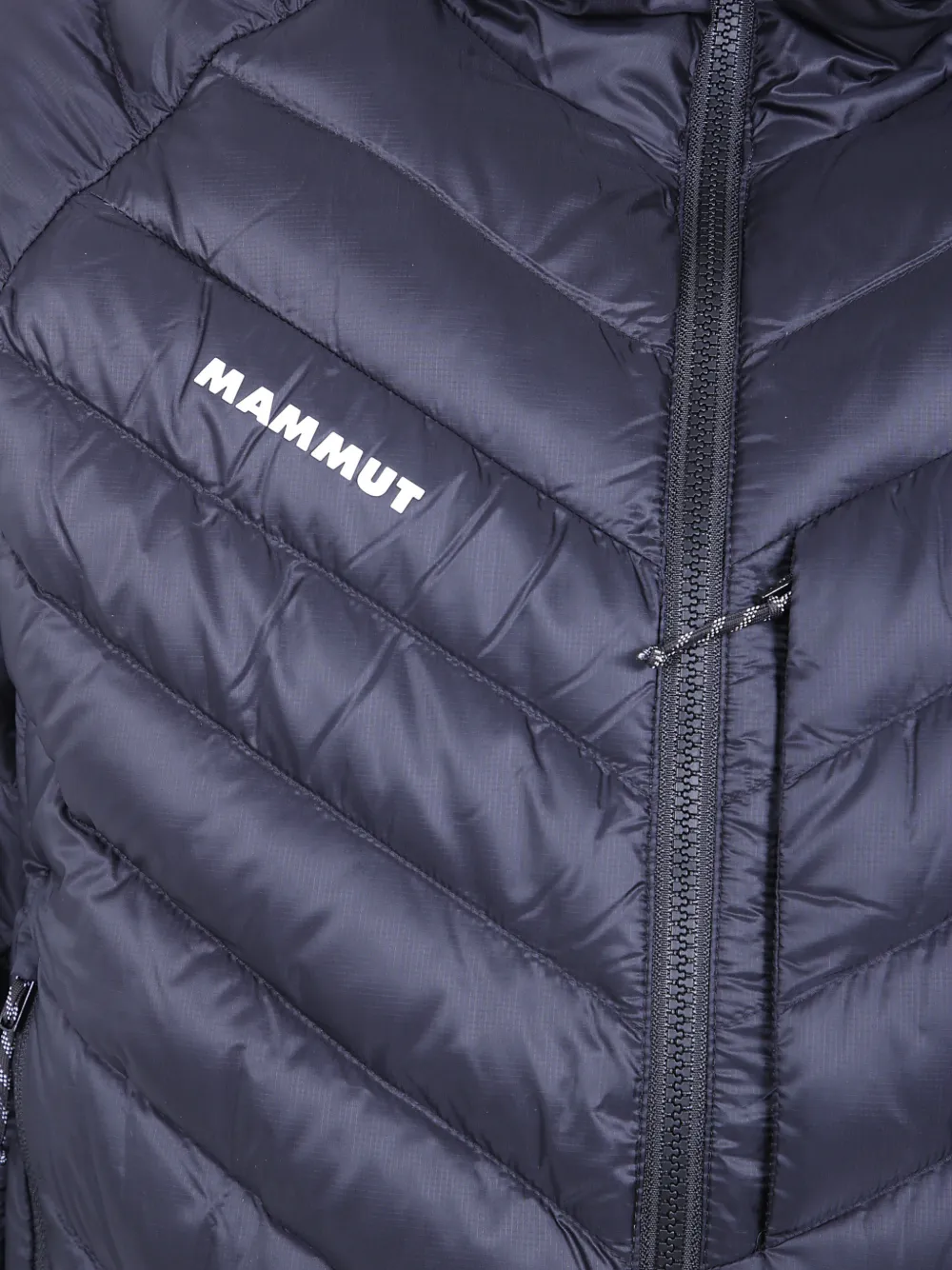 Mammut Gewatteerde trainingsjack met capuchon Blauw