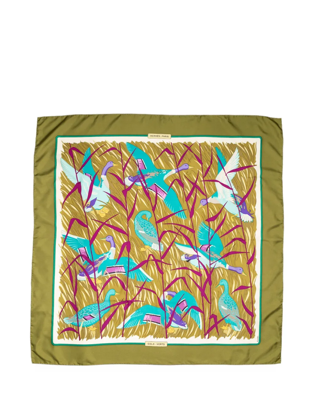 Hermès Pre-Owned Cols Verts silk scarf - Grün