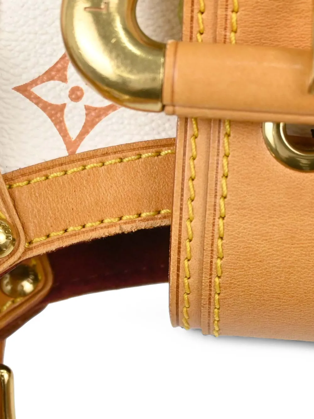 Louis Vuitton Pre-Owned x Takashi Murakami 2000s GM Monogram Multicolore Theda tote bag Wit