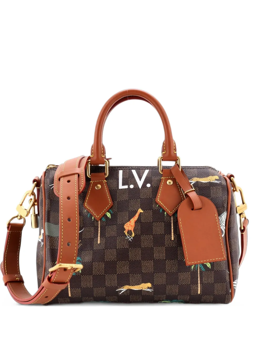 Louis Vuitton Pre-Owned Speedy Bandouliere Limited Edition The Darjeeling Damier Satchel-Tasche 25cm - Braun
