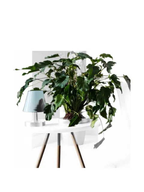 FATBOY Edison the Ambiance table lamp