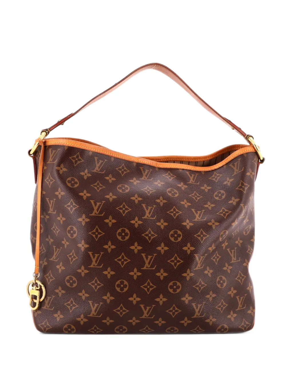 Louis Vuitton Pre-Owned Delightful NM Handbag Monogram Canvas MM hobo bag - Brown